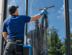 Fensterreinigung