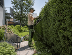 Gartenbetreuung Wien